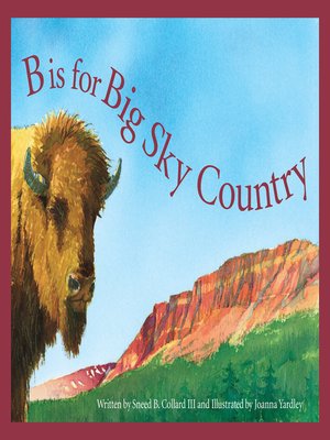 cover image of B is for Big Sky Country
